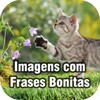 Biểu tượng Imagens com Frases Bonitas