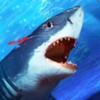 Shark Attack Fish Hungry Games icon