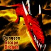Dungeon Escape Dragon icon