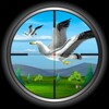 Bird Hunting icon