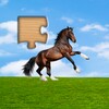 Icon von Animal Puzzles