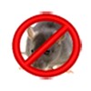 Anti Ratas icon