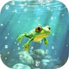 Pocket Frogs आइकन