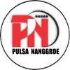 pulsananggroe icon