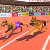 Dog Race 2019 icon