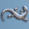 Argus Monitor 图标