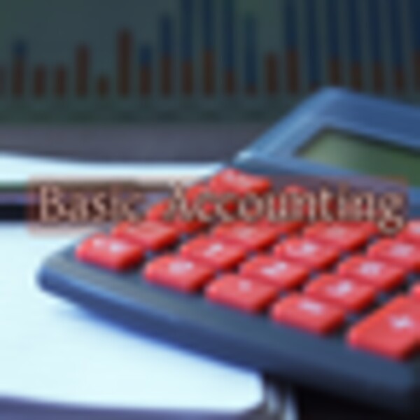Accounting Basics for Android - Download the APK from Uptodown