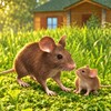 Mouse Simulator icon