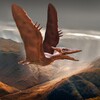 Икона Pteranodon Simulator