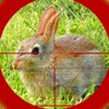 Rabbit Hunting icon