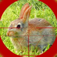 Sniper Of Kill: Gun shooting(Large currency)