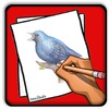 How to Draw Birds icon