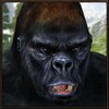 Crazy Gorilla Rampage icon