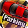 Perfect Parking icon