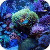 Marine Aquarium Live Wallpaper icon