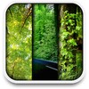 Natur live wallpape icon