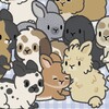 Icona di Bunny Haven