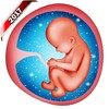 Pregnancy Baby Weekly Tracker icon