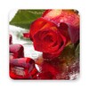 Rose Live Wallpapers icon