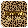 Cheetah icon