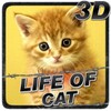 Life Of Cat icon