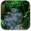 3d Nature Live Wallpaper icon