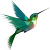 Bird Live Wallpaper icon