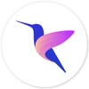 Hummingbird icon