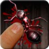 Ant Killer Best Insect Smasher icon