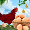 Egg Catcher surprise icon