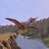 Quetzalcoatlus Simulator 아이콘