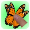 TouchButterfly icon