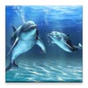 3D dolphin HD live wallpaper icon