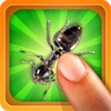 Tap the Bug icon