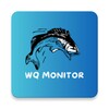 WQ Monitor 아이콘