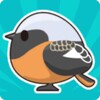 Tori Watch 2 - fluffy small birds - icon