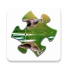 Icône Reflection Jigsaw Puzzles