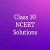 Class 10 Solutions and Books icon
