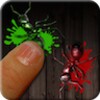 Amazing Ant Smasher icon