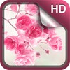 Bonito Flores Rosa Fundo HD icon