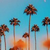 Icono de Summer Wallpaper
