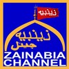 Zainabia Live icon