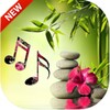Relaxing Music 2023 icon