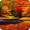 Autumn Wallpaper icon