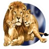 Animal Sticker - WAStickersApp icon