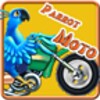 Parrot Moto icon