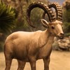 Ultimate Ibex Simulator icon