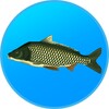 True Fishing icon