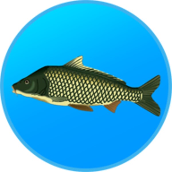 True Fishing for Android - Download the APK from Uptodown