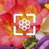 Flower Wallpaper HD icon